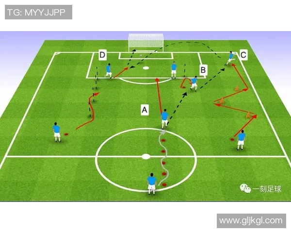 基于足球球星类型指标分析球员表现与能力差异的多维度研究