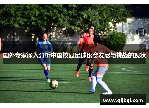国外专家深入分析中国校园足球比赛发展与挑战的现状