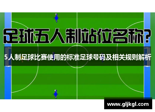 5人制足球比赛使用的标准足球号码及相关规则解析
